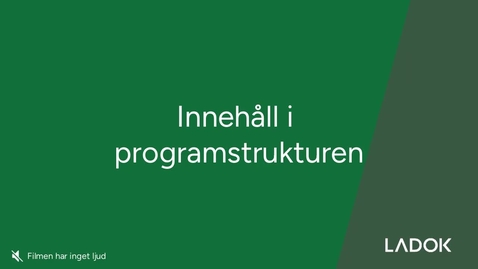 Thumbnail for Innehåll i programstrukturen