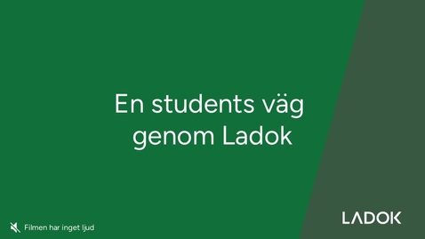 Thumbnail for En students väg genom Ladok