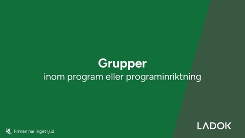 Thumbnail for Grupper inom program