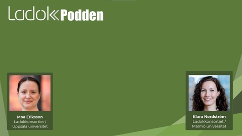 Thumbnail for Ladokpodden: Hjälp i systemet