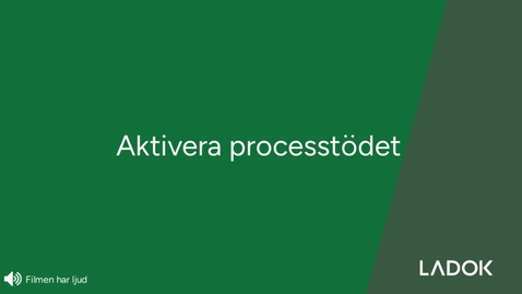 Thumbnail for Aktivera processtödet