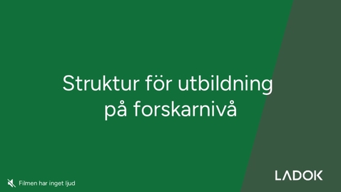 Thumbnail for Struktur för utbildning på forskarnivå