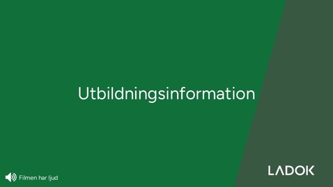 Thumbnail for Utbildningsinformation