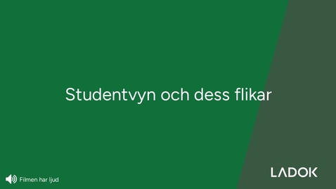 Thumbnail for Studentvyn med dess flikar