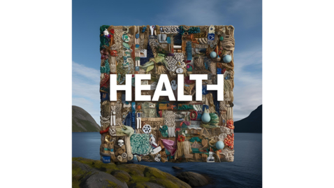 Thumbnail for The struggle for health! Health as text, discursive and social practice in PETE in Norway