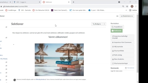 Thumbnail for Sektioner i Canvas, del 2 210702