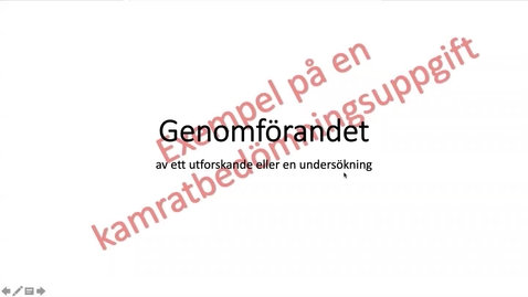Thumbnail for Exempel på kamratbedömningsmatris
