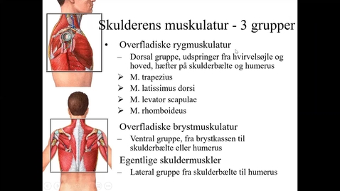 Thumbnail for gennemgang af skuldermuskler