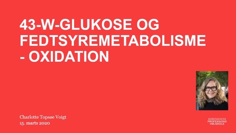 Thumbnail for 43-W-metabolisme_3_-_oxidation