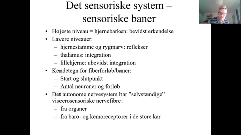 Thumbnail for videogennemgang af powerpointslides om sensoriske baner
