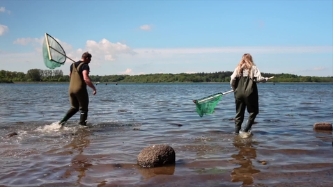 Thumbnail for Kystliv Holbæk