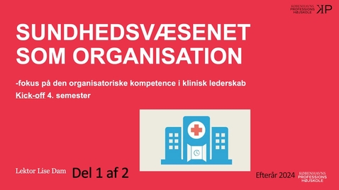 Thumbnail for Sundhedsvæsnets-organisering_1-af-2