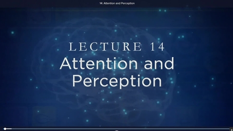 Thumbnail for attention and perception fra wondrium