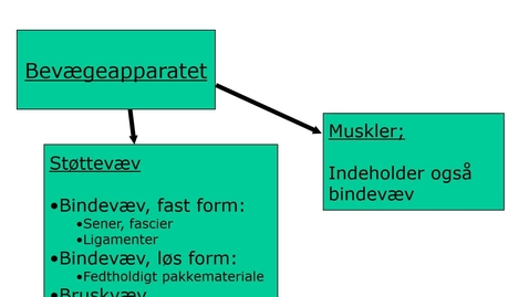 Thumbnail for Generelt om støttevæv - powerpoint-gennemgang med speak