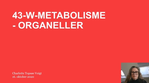 Thumbnail for 43_w_metabolisme_organeller