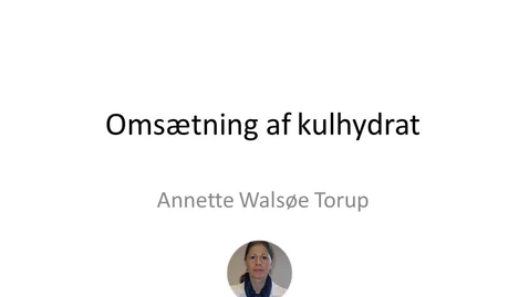 Thumbnail for Kulhydratomsætning