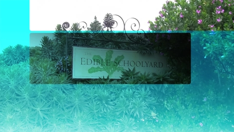 Thumbnail for Video 4 Edible Schoolyard interview