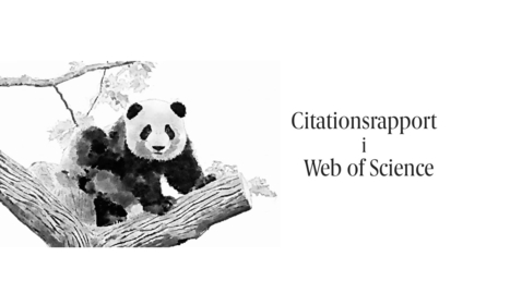 Thumbnail for Citationsrapport i Web of Science
