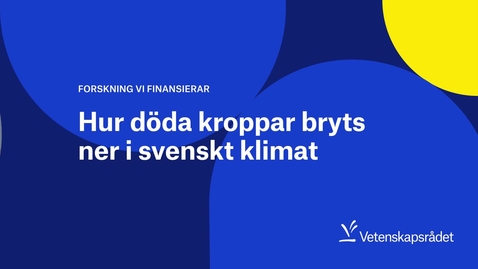 Thumbnail for Hur döda kroppar bryts ner i svenskt klimat