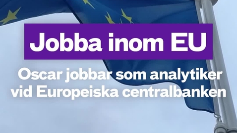 Thumbnail for Jobba inom EU