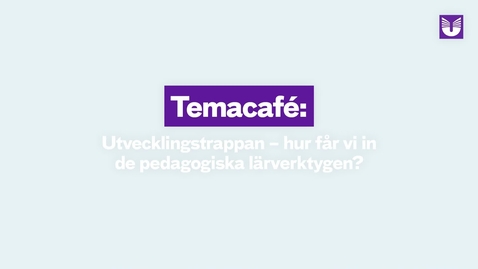 Thumbnail for Temacafé: Utvecklingstrappan