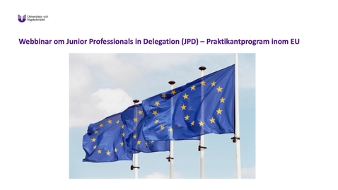 Thumbnail for Junior Professionals in Delegation (JPD) 