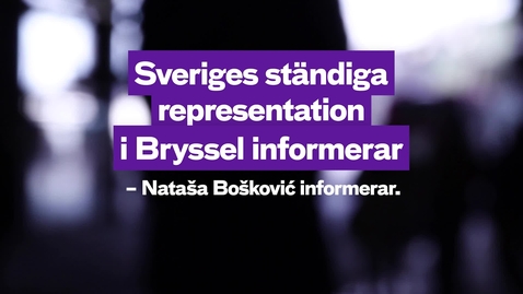 Thumbnail for Sveriges ständiga representation i Bryssel 