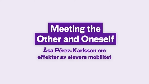 Thumbnail for Meeting the other and oneself